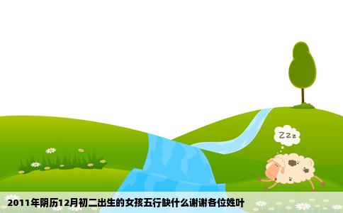 2011年阴历12月初二出生的女孩五行缺什么谢谢各位姓叶