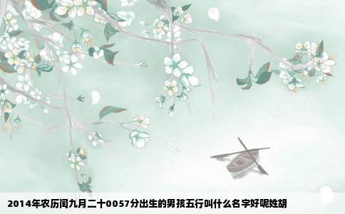 2014年农历闰九月二十0057分出生的男孩五行叫什么名字好呢姓胡
