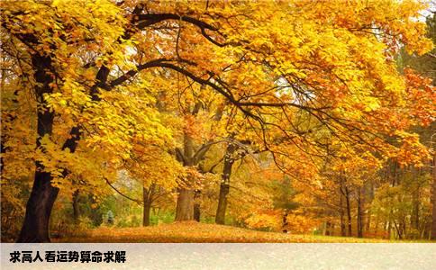 求高人看运势算命求解