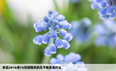农历2016年10月初四月的天干地支是什么