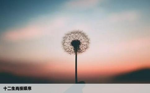 十二生肖按顺序