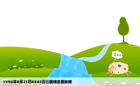 1990年8月21日0845五行属啥命里缺啥