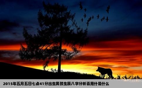 2015年五月五日七点41分出生男孩生辰八字分析喜用什是什么