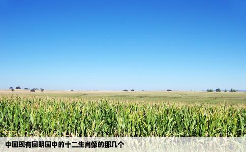 中国现有圆明园中的十二生肖像的那几个