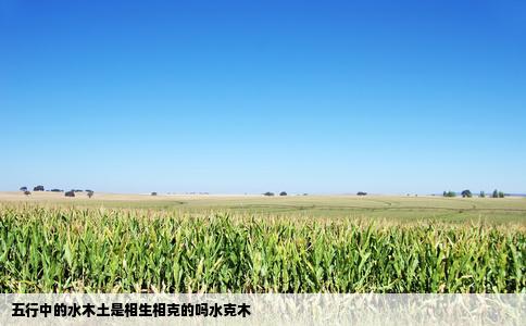 五行中的水木土是相生相克的吗水克木