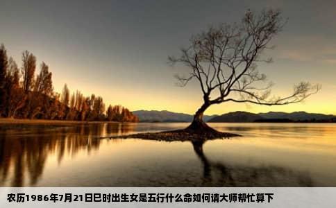 农历1986年7月21日巳时出生女是五行什么命如何请大师帮忙算下