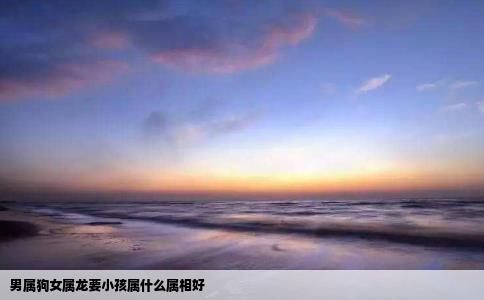 男属狗女属龙要小孩属什么属相好