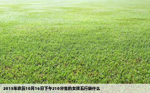 2015年农历10月16日下午210分生的女孩五行缺什么
