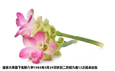 请求大师算下生辰八字1985年3月29日农历二月初九夜13之间点出生