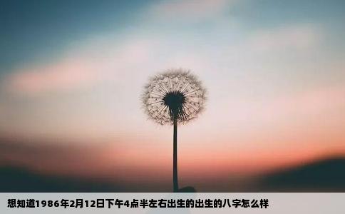 想知道1986年2月12日下午4点半左右出生的出生的八字怎么样
