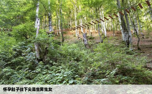 怀孕肚子往下尖是生男生女