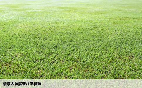 请求大师解答八字和婚