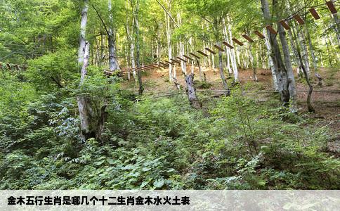 金木五行生肖是哪几个十二生肖金木水火土表