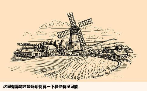 这里有算命合婚吗帮我算一下和他有没可能