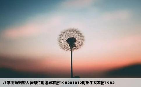 八字测婚姻望大师帮忙谢谢男农历198201012时出生女农历1982