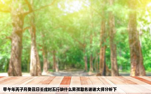 甲午年丙子月癸丑日壬戌时五行缺什么男孩取名谢谢大师分析下