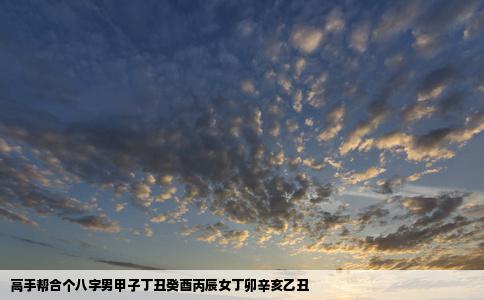 高手帮合个八字男甲子丁丑癸酉丙辰女丁卯辛亥乙丑