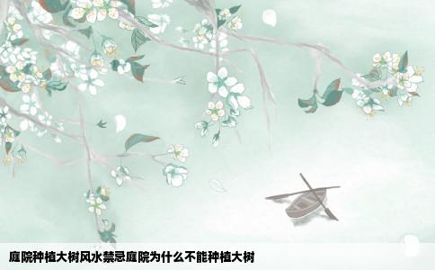 庭院种植大树风水禁忌庭院为什么不能种植大树