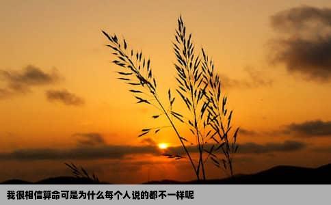 我很相信算命可是为什么每个人说的都不一样呢