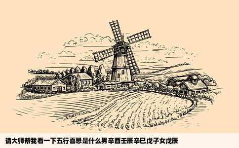 请大师帮我看一下五行喜忌是什么男辛酉壬辰辛巳戊子女戊辰