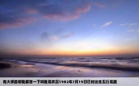 有大师能帮我解答一下吗我是农历1982年7月19日已时出生五行是属