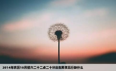 2014年农历10月初六二十二点二十分出生男孩五行缺什么