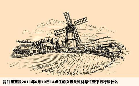 我的宝宝是2011年6月10日14点生的女孩父姓林帮忙查下五行缺什么