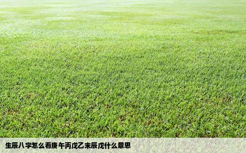 生辰八字怎么看庚午丙戊乙末辰戊什么意思