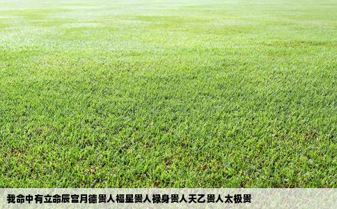 我命中有立命辰宫月德贵人福星贵人禄身贵人天乙贵人太极贵