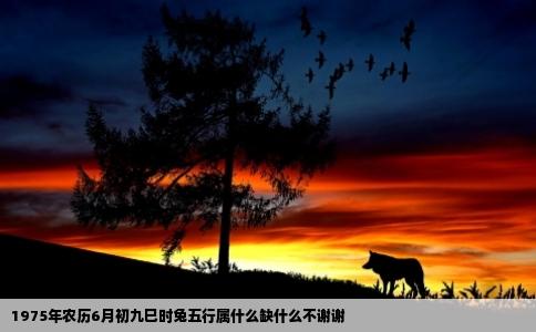 1975年农历6月初九巳时兔五行属什么缺什么不谢谢