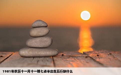 1981年农历十一月十一晚七点半出生五行缺什么