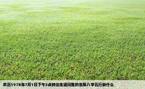 农历1978年7月1日下午3点钟出生请问我的生辰八字五行缺什么