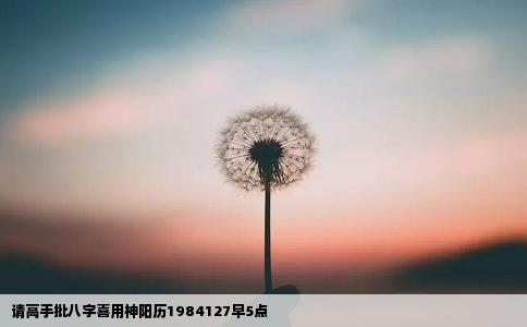 请高手批八字喜用神阳历1984127早5点