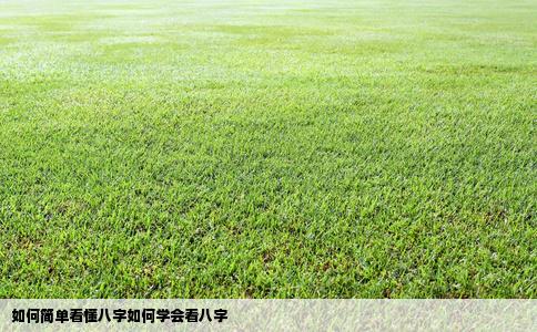 如何简单看懂八字如何学会看八字