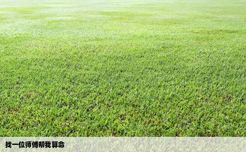 找一位师傅帮我算命