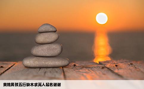 黄姓男孩五行缺木求高人起名谢谢