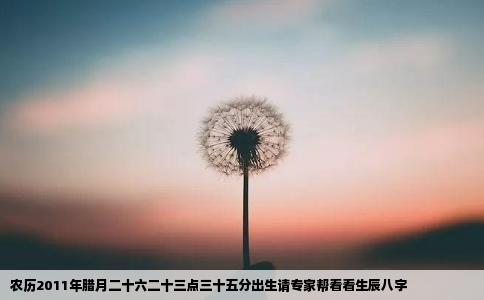 农历2011年腊月二十六二十三点三十五分出生请专家帮看看生辰八字