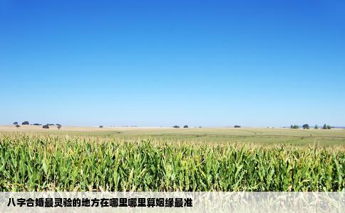 八字合婚最灵验的地方在哪里哪里算姻缘最准