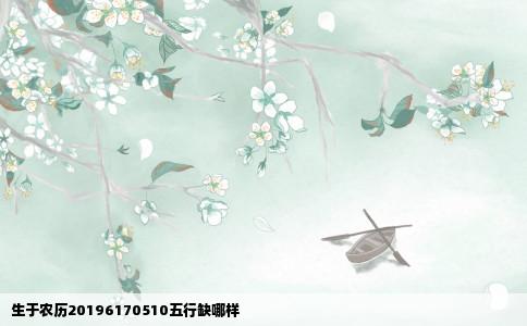 生于农历20196170510五行缺哪样