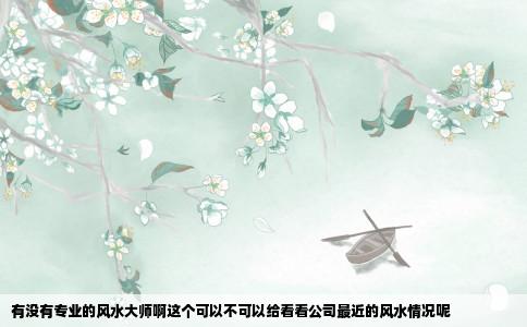 有没有专业的风水大师啊这个可以不可以给看看公司最近的风水情况呢