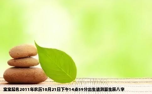 宝宝起名2011年农历10月21日下午14点59分出生请测算生辰八字