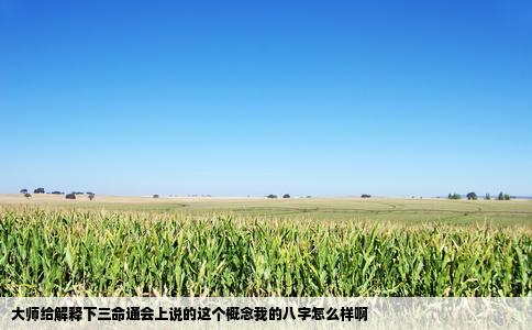 大师给解释下三命通会上说的这个概念我的八字怎么样啊