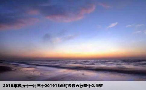 2018年农历十一月三十201915酉时男孩五行缺什么董姓