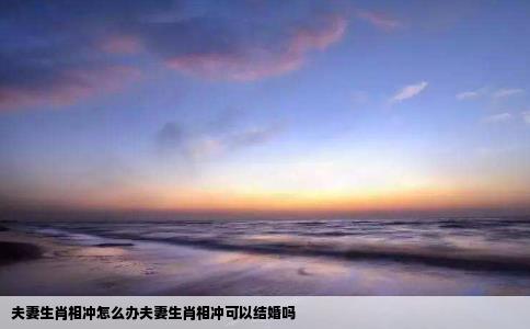 夫妻生肖相冲怎么办夫妻生肖相冲可以结婚吗
