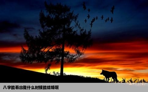 八字能看出我什么时候能结婚啊