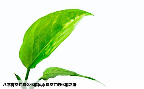 八字有空亡怎么化解风水逢空亡的化解之法