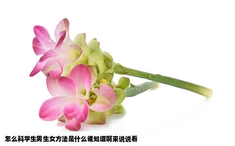 怎么科学生男生女方法是什么谁知道啊来说说看