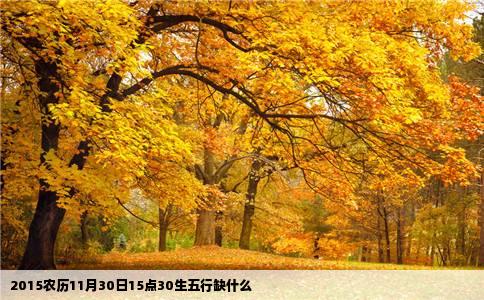 2015农历11月30日15点30生五行缺什么
