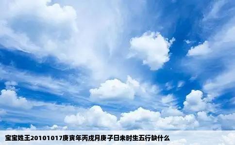 宝宝姓王20101017庚寅年丙戌月庚子日未时生五行缺什么