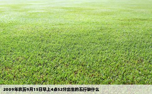 2009年农历9月15日早上4点52分出生的五行缺什么